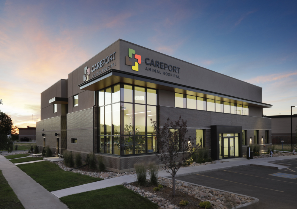 An image of P3A's Careport Animal Hospital project.