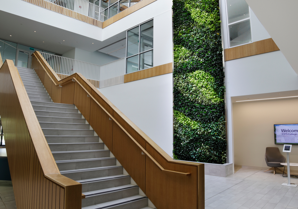 An image of P3A's Conexus Credit Union Head Office project.