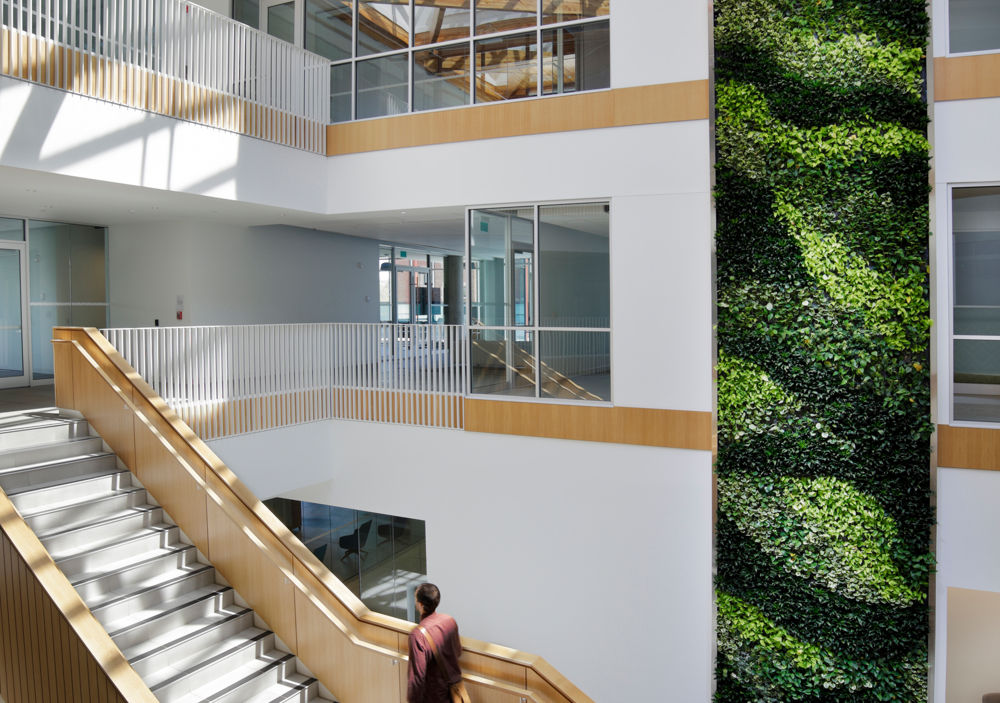 An image of P3A's Conexus Credit Union Head Office project.