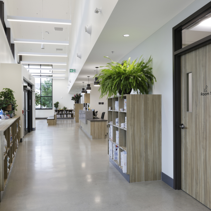 An image of P3A's Careport Animal Hospital project.