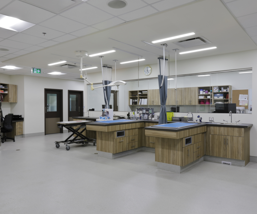 An image of P3A's Careport Animal Hospital project.
